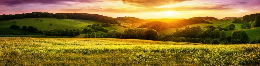 Fotolia_120338513_XL
